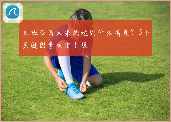 文班亚马未来能达到什么高度？5个关键因素决定上限